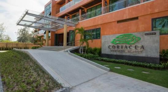 Coriacea Beachfront Boutique Phuket Resort - SHA Plus - 79