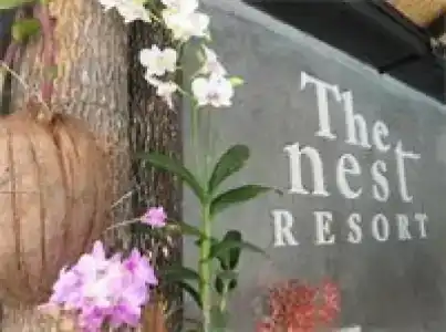 The Nest Resort Patong - 47