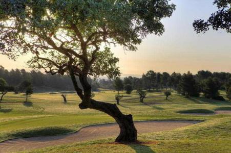 Sheraton Mallorca Arabella Golf - 33