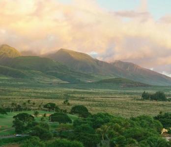 Hyatt Regency Maui Resort & Spa - 47