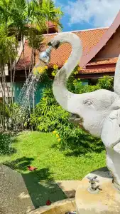 Phuket Orchid Resort and Spa - SHA Extra Plus - 31