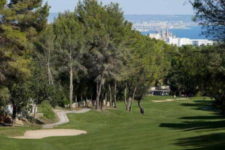 Sheraton Mallorca Arabella Golf - 43