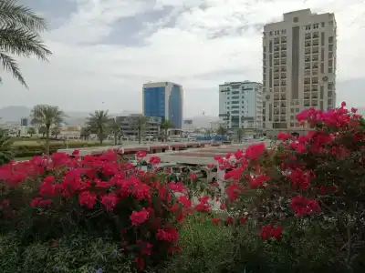 Hilton Garden Inn Ras Al Khaimah - 20