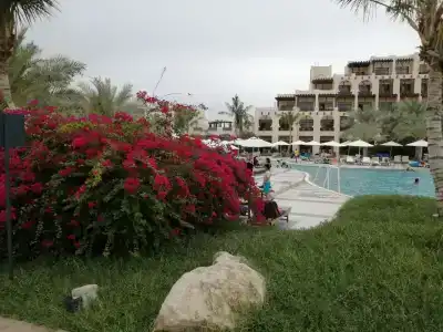 Hilton Garden Inn Ras Al Khaimah - 22