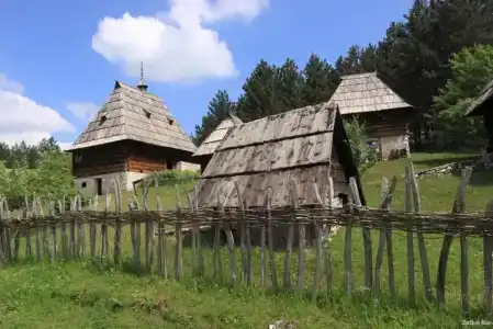 Zlatibor Mona - 1