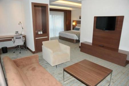 Mercure Istanbul Altunizade - 71