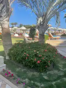 Premier Le Reve & Spa Sahl Hasheesh - Adults Only 16 Years Plus - 33