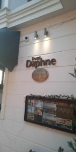 Daphne - 9