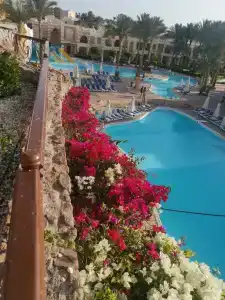 Rehana Royal Beach Resort - Aquapark & Spa - Family & Couples Only - 76