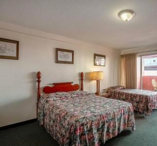 Royal Grove Waikiki - 8