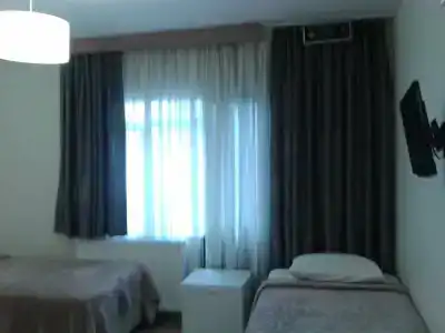 Polanin - 19