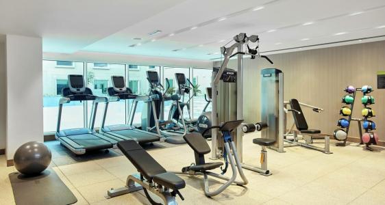 Hilton Garden Inn Dubai Mall Of The Emirates - 12