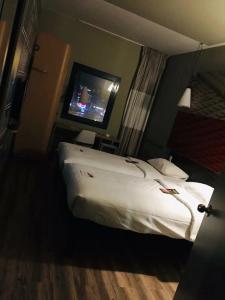 Ibis Istanbul Tuzla - 3