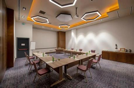 Holiday Inn Kayseri - Duvenonu, an IHG - 87