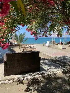 Lykia Botanika Beach Fun & Club - All Inclusive - 33