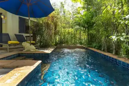 Seaview Resort Khao Lak - SHA Plus - 21