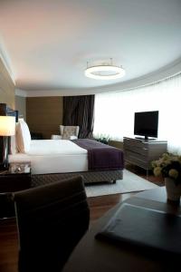 Radisson Blu, Istanbul Sisli - 9