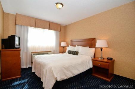 Best Western PLUS Langley Inn - 7