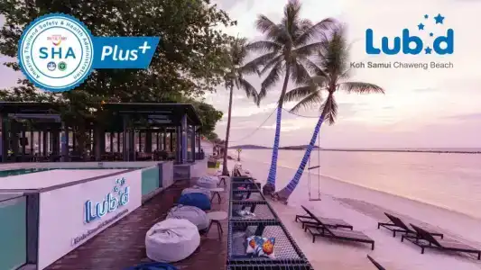 Lub d Koh Samui Chaweng Beach - SHA Extra Plus - 10