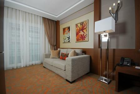 Holiday Inn Ankara-Kavaklidere, an IHG - 65