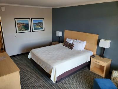 Inn by the Sea, La Jolla - 63