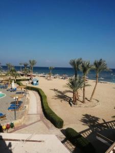 Nuweiba Club Resort - 12