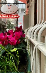 The House of Tulpan - 9