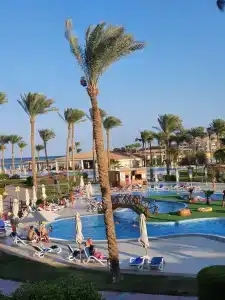 Cleopatra Luxury Resort Makadi Bay (Adults Only) - 37