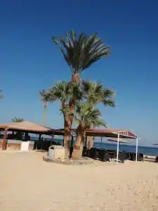 Nuweiba Club Resort - 8