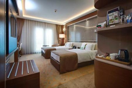 Holiday Inn Ankara-Kavaklidere, an IHG - 51