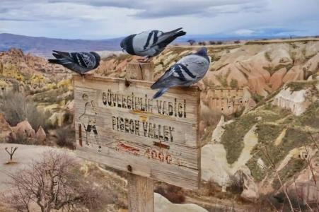 Alice in Cappadocia - 22