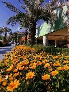 Kirman Belazur Resort&Spa - 29