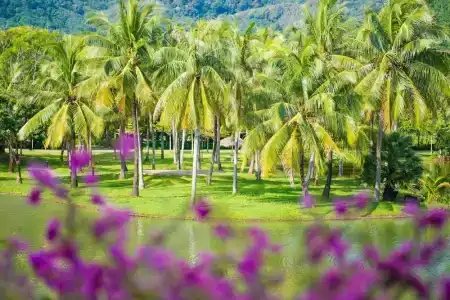 Hilton Phuket Arcadia Resort & Spa - SHA Plus - 62