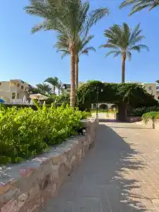 Stella Gardens Resort & Spa, Makadi Bay - 91