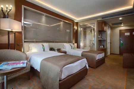 Holiday Inn Ankara-Kavaklidere, an IHG - 48