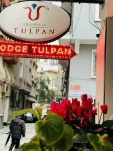 The House of Tulpan - 69