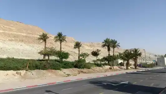 Vert Dead Sea - 41