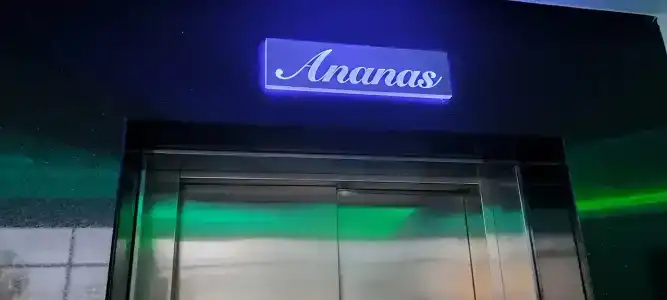 Ananas - 40