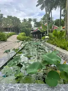 Grand Mercure Khao Lak Bangsak - 10