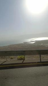 Vert Dead Sea - 44