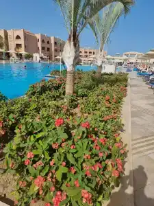 Pickalbatros Aqua Vista Resort - Hurghada - 46