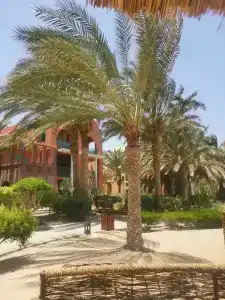 sheraton miramar rezort el guna - 55