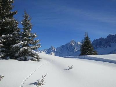 Mont-Blanc Chamonix - 43