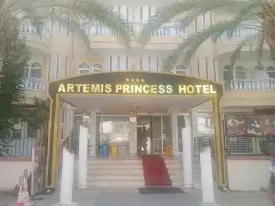 Artemis Princess - 7