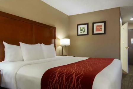 Comfort Inn Santa Fe - 82