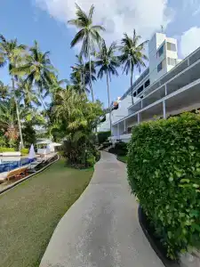 Best Western Phuket Ocean Resort - 48