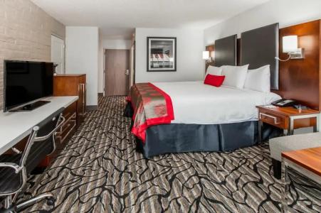 Ramada by Wyndham Austin South - 74