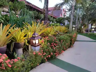 Phuket Orchid Resort and Spa - SHA Extra Plus - 81