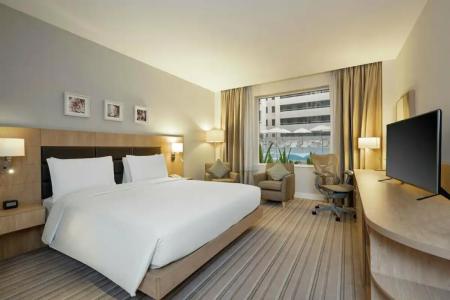 Hilton Garden Inn Dubai Mall Of The Emirates - 58